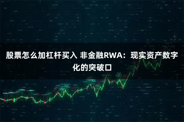 股票怎么加杠杆买入 非金融RWA：现实资产数字化的突破口